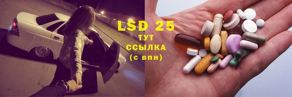 ГАЛЛЮЦИНОГЕННЫЕ ГРИБЫ Алзамай