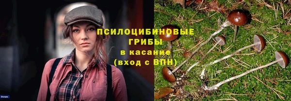 прущая мука Алексеевка