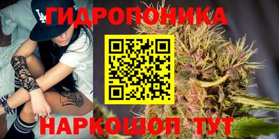 PSILOCYBIN Кандалакша