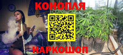 PSILOCYBIN Кандалакша